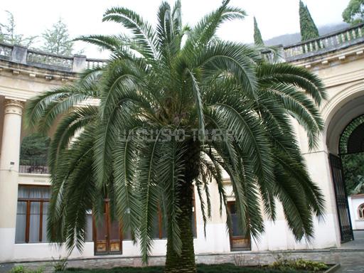 Нажмите чтобы увеличить фото Внутренний двор