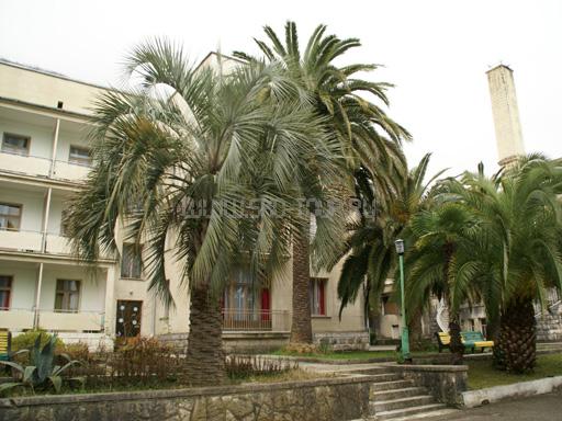 Нажмите чтобы увеличить фото Внешний вид