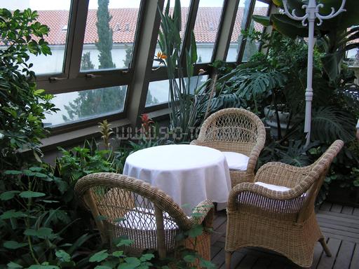 Зимний сад Санаторий «Сосновая роща»