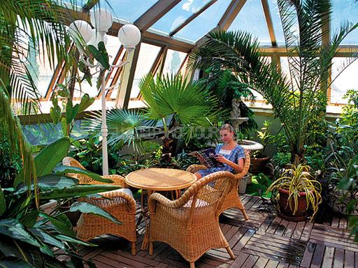 Зимний сад Санаторий «Сосновая роща»